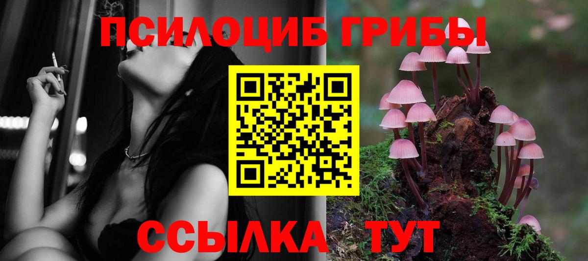 Псилоцибиновые грибы мицелий  закладки  Красноярск  Вход с VPN 